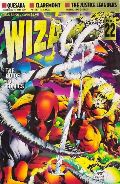 Wizard 22  cover